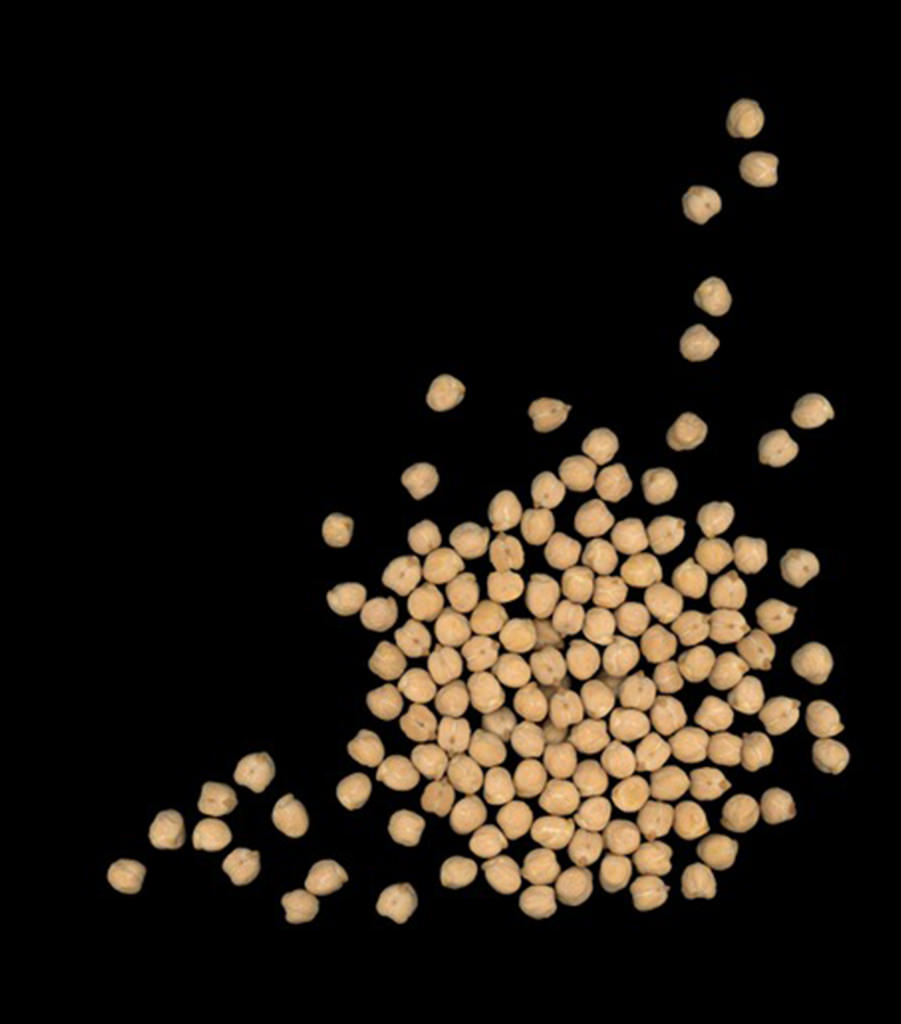 Galactooligosaccharides Galactooligosaccharides
